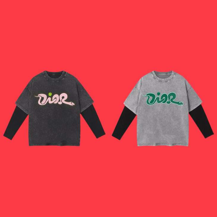 Picture of Dior T Shirt Long _SKUDiorS-2XLxetr3350418
